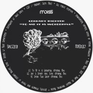 Lennart Richter, Slync - Like A Dream