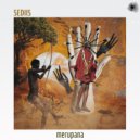 Sediis - Bush To The India (Original Mix)