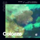 Boxer - Total Uphoria