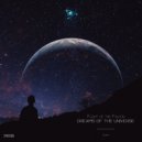 Flight of the Falcon - At The Center Of The Galaxies
