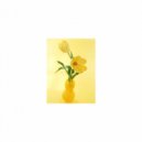 Mindfulness Healing Sleep BGM Project - Alarm and Relaxation (Sleep BGM)