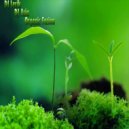 DJ Lerik & DJ Asia - Organic Fusion