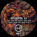 Radical Tensor - Parallel Roller Coaster (Original Mix)