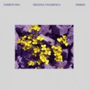 Vedritunes - Magenta Rocks