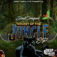 Soulconquer - What Have Done