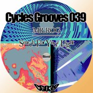 Mr. Rog - Transient States