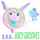 S.V.G. - Feel The Rhythm Baby (Original Mix)