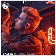 Falko Niestolik & Carl Clarks - Fallen