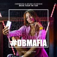 Ownboss & SEVEK Vs Kesha - Move Your Tik Tok