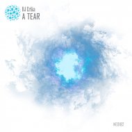 DJ Erika - A Tear