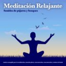 Meditaciónessa & Musica Relajante & Música de Meditación - Meditación profunda - Música instrumental ()