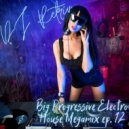DJ Retriv - Big Progressive Electro House Megamix ep. 12