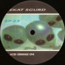 SP 23 - #3