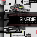 Niko (BR) - Destruction (Original Mix)