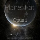 Planet Fat - Opus1 (Original Mix)