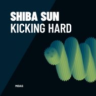 Shiba Sun - Rebels