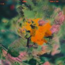 Baltra - Where I End