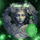 NOPARTAGER & Kaeshiro - Princess Man