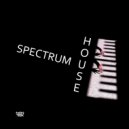 DJ Non Rex - Spectrum House (vol.4) ()