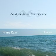 Prime Rain - Gross
