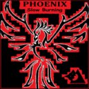 Phoenix & Sam Ho - Traveling Man (Original Mix)