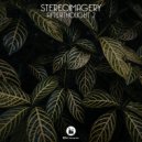 Stereoimagery - Leaving (Original Mix)
