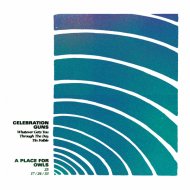 Celebration Guns - Tin Foible