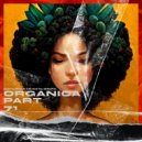 DIMTA - ORGANICA MIX PART 71