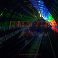 Digitali - system down