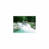Sleep BGM Mindfulness - Dalton and Insomnia