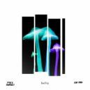 Space Bubbles - Bad Trip (Original Mix)