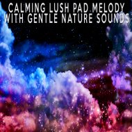 Relaxing Music Soundscapes - Calming Lush Pad Melody With Gentle Nature Sounds