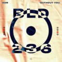 DoR (IRL) - Without You (Extended Mix)