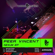 Peer Vincent - Plastique