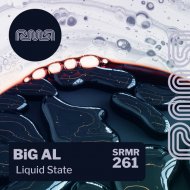 BiG AL - Liquid State