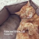 Beats De Rap & Animal Melody Wizard & The Real Animal relaxer - Heart and Soul