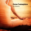 Lofiwaala & Splendor of Meditation for Smoking Cessation & Relax Meditation Sleep - Northern Lights ()