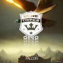 Erik Hakansson - Falcon (Extended Mix)