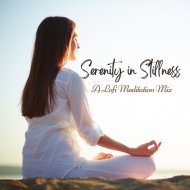 Lofi Gaming & Relaxation And Meditation & Background Sound Effects Meditation Spa - Happier Skies