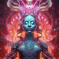 Negous & Mervit - Reunion