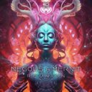 Negous & Mervit - Reunion ()