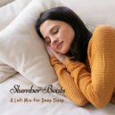 Lofi Nation & Lullaby Academy & Sleep Miracle - Winter Study ()