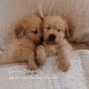 Total Relax Lo Fi Music & Sounds of the Everyday & Relax My Dog Music - Added Lights
