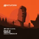 Felix R - Pineapple (Goncalo M Remix)