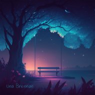 Una Brennan - Zen Mindful Journey