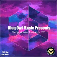 Blaq Owl - Chaotic Minds