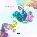 Cryztal Grid - Life In Color (Original Mix)