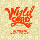 22 Weeks - Another Way (Original Mix)