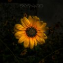 Anitek - Skyward (Original Mix)