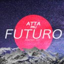 ATTA PRJ - Transmissions From The Spacecraft